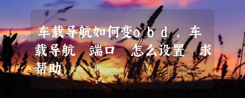 车载导航如何变obd，车载导航 端口 怎么设置 求帮助