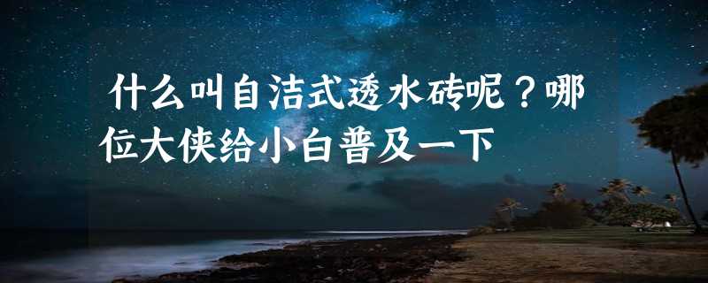 什么叫自洁式透水砖呢？哪位大侠给小白普及一下