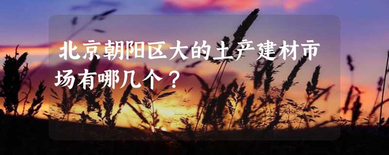 北京朝阳区大的土产建材市场有哪几个？