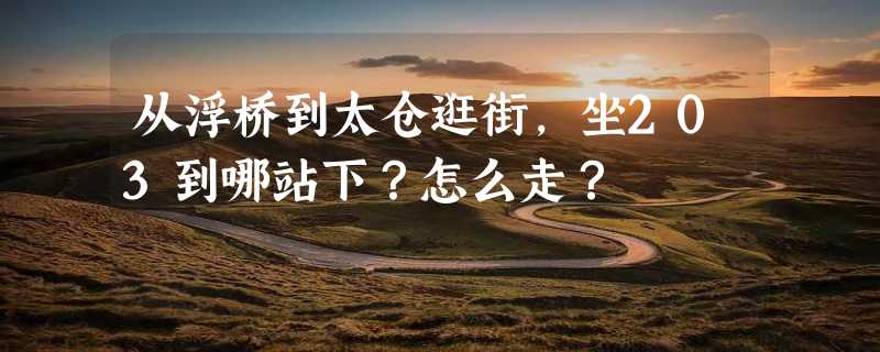 从浮桥到太仓逛街，坐203到哪站下？怎么走？