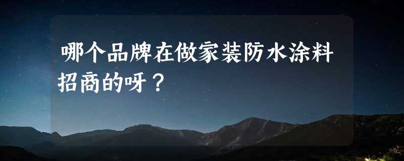 哪个品牌在做家装防水涂料招商的呀？