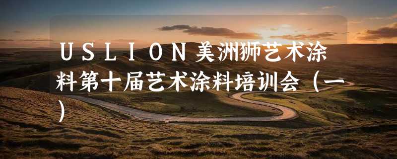 USLION美洲狮艺术涂料第十届艺术涂料培训会（一）