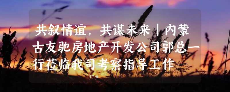 共叙情谊，共谋未来｜内蒙古友驰房地产开发公司郭总一行莅临我司考察指导工作