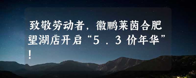 致敬劳动者，徽鹏莱茵合肥望湖店开启“5.3价年华”！