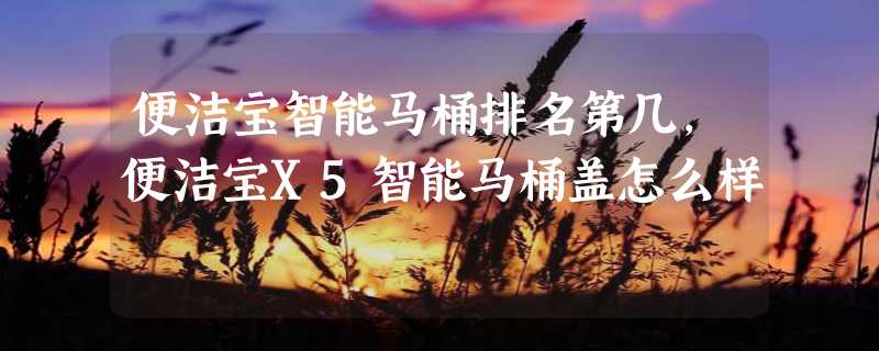 便洁宝智能马桶排名第几，便洁宝X5智能马桶盖怎么样