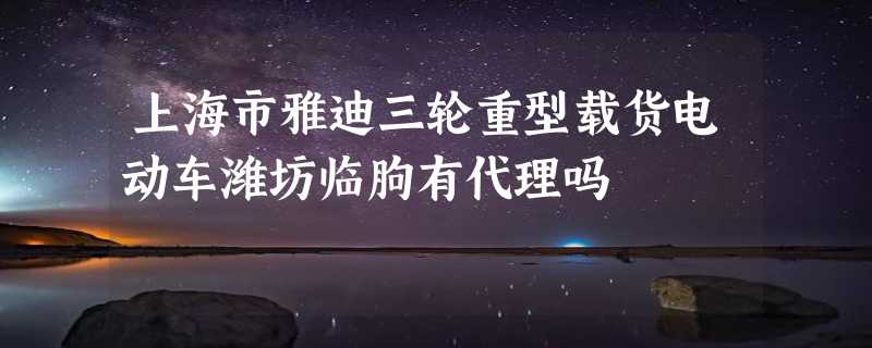 上海市雅迪三轮重型载货电动车潍坊临朐有代理吗