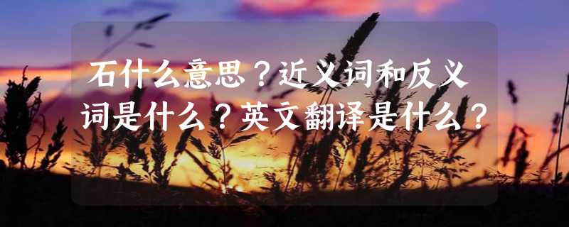 石什么意思？近义词和反义词是什么？英文翻译是什么？