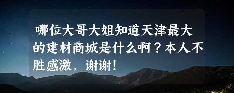 哪位大哥大姐知道天津最大的建材商城是什么啊？本人不胜感激，谢谢！