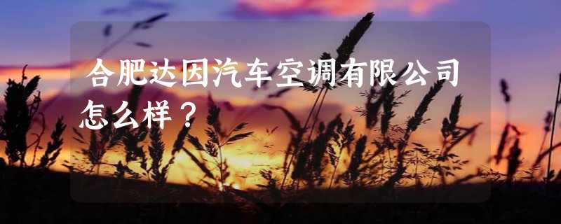 合肥达因汽车空调有限公司怎么样？