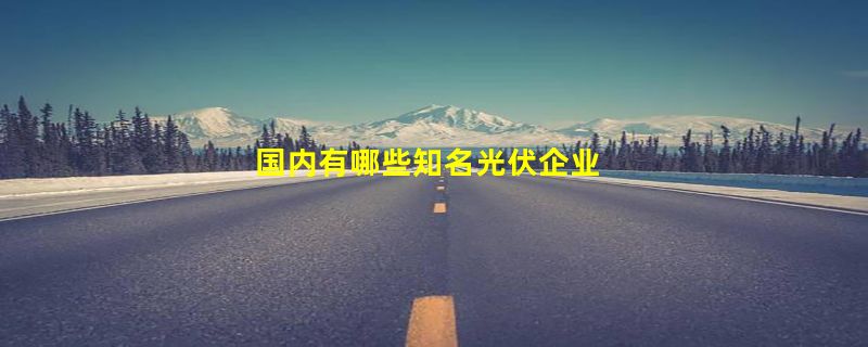 国内有哪些知名光伏企业