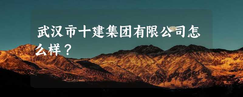 武汉市十建集团有限公司怎么样？