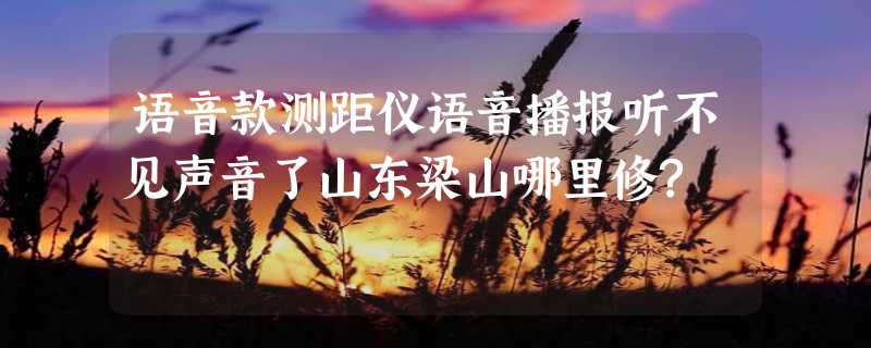 语音款测距仪语音播报听不见声音了山东梁山哪里修?