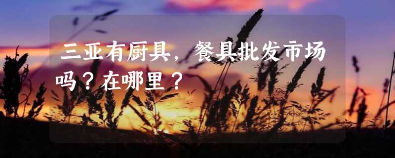 三亚有厨具，餐具批发市场吗？在哪里？