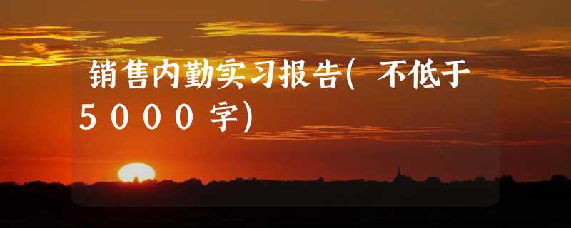 销售内勤实习报告(不低于5000字)