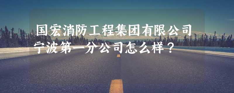 国宏消防工程集团有限公司宁波第一分公司怎么样？