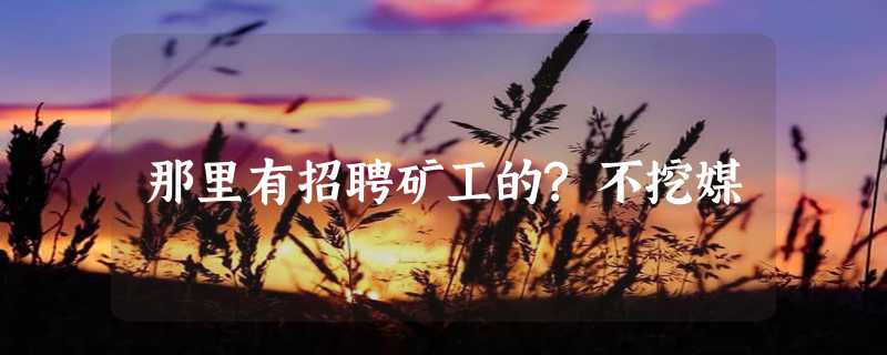 那里有招聘矿工的?不挖媒