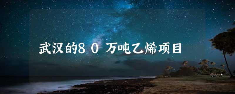 武汉的80万吨乙烯项目