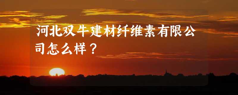 河北双牛建材纤维素有限公司怎么样？