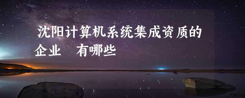 沈阳计算机系统集成资质的企业 有哪些