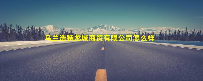 乌兰浩特龙城商贸有限公司怎么样？