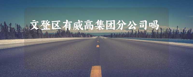 文登区有威高集团分公司吗