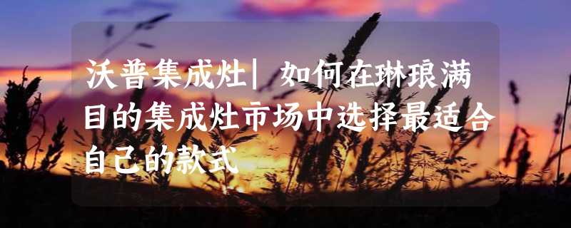 沃普集成灶|如何在琳琅满目的集成灶市场中选择最适合自己的款式