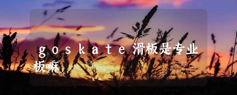 goskate滑板是专业板嘛