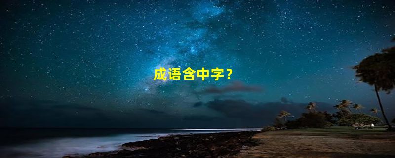 成语含中字？