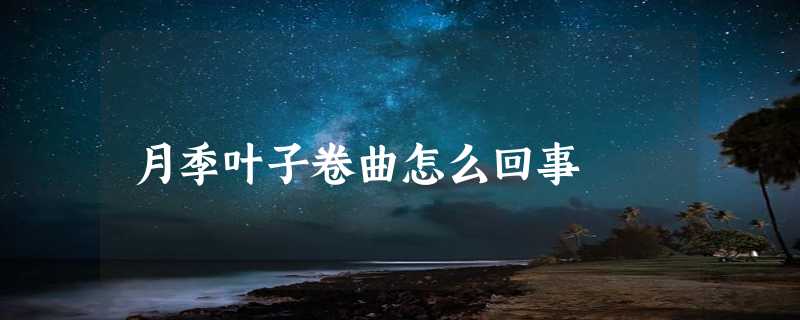 月季叶子卷曲怎么回事