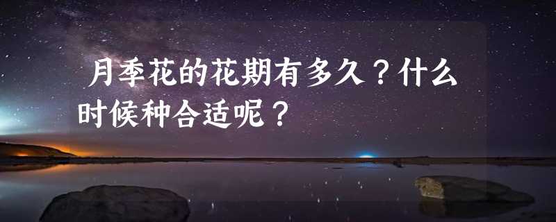 月季花的花期有多久？什么时候种合适呢？