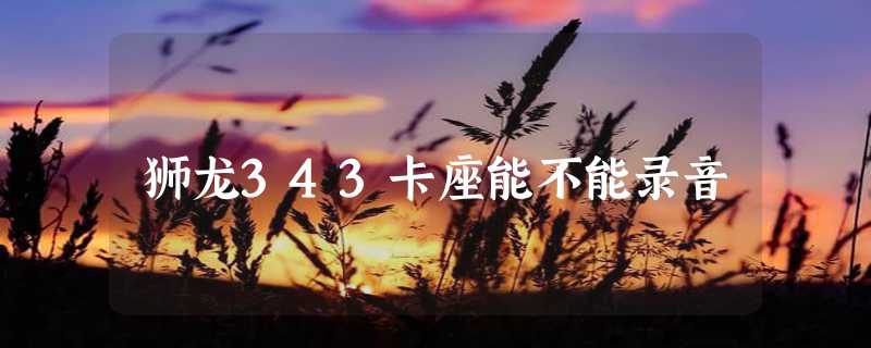 狮龙343卡座能不能录音