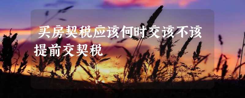 买房契税应该何时交该不该提前交契税