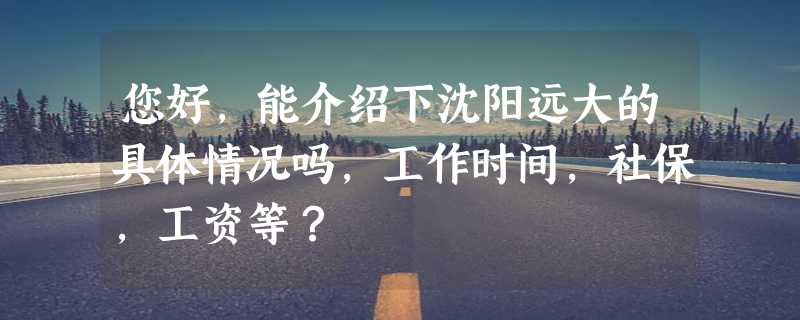 您好，能介绍下沈阳远大的具体情况吗，工作时间，社保，工资等？