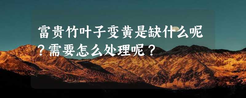 富贵竹叶子变黄是缺什么呢？需要怎么处理呢？