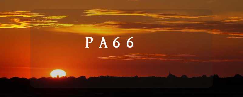 PA66