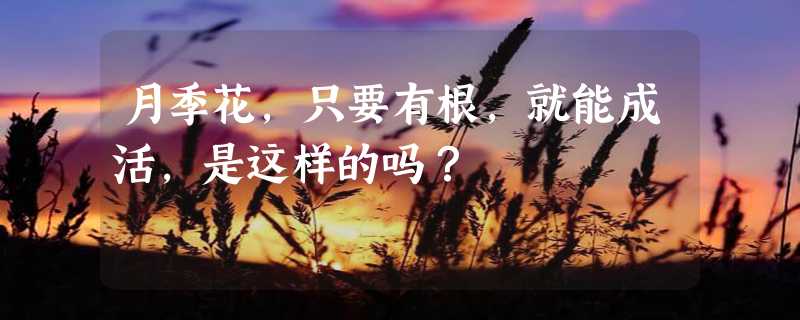 月季花，只要有根，就能成活，是这样的吗？