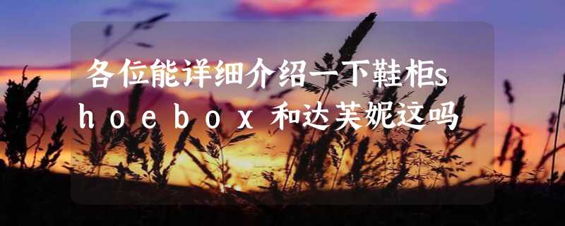 各位能详细介绍一下鞋柜shoebox和达芙妮这吗