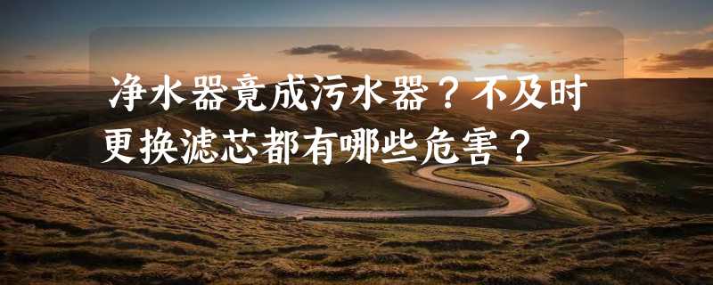 净水器竟成污水器？不及时更换滤芯都有哪些危害？