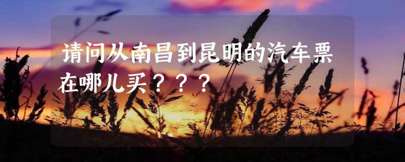 请问从南昌到昆明的汽车票在哪儿买？？？