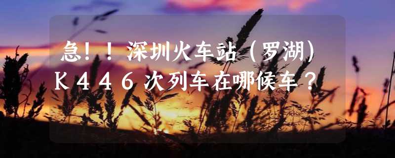 急！！深圳火车站（罗湖）K446次列车在哪候车？