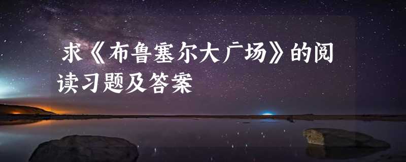 求《布鲁塞尔大广场》的阅读习题及答案