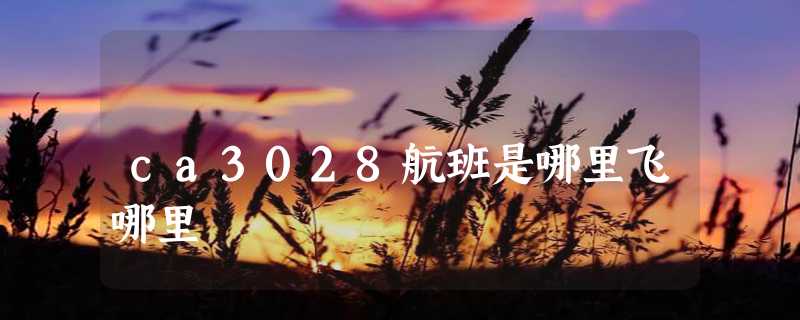 ca3028航班是哪里飞哪里