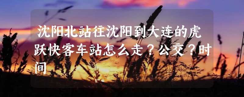 沈阳北站往沈阳到大连的虎跃快客车站怎么走？公交？时间