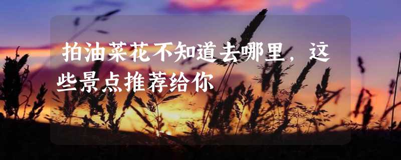 拍油菜花不知道去哪里，这些景点推荐给你