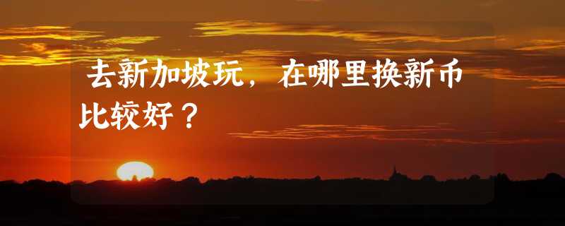 去新加坡玩，在哪里换新币比较好？