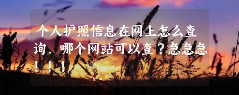 个人护照信息在网上怎么查询，哪个网站可以查？急急急！！！