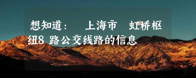 想知道: 上海市 虹桥枢纽8路公交线路的信息