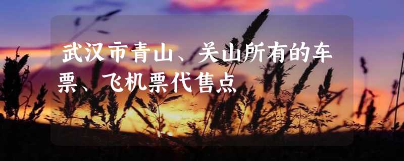 武汉市青山、关山所有的车票、飞机票代售点