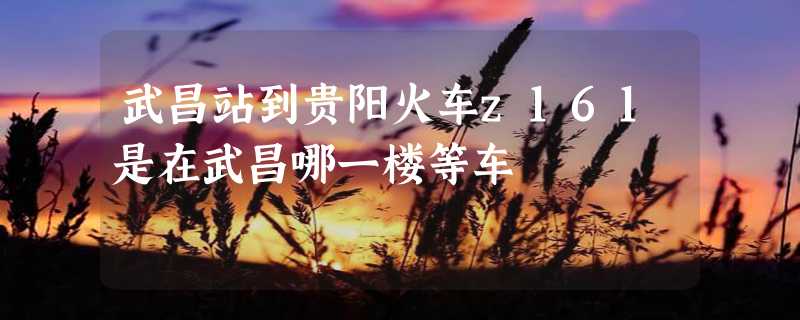 武昌站到贵阳火车z161是在武昌哪一楼等车