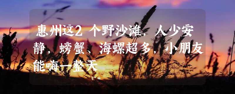 惠州这2个野沙滩，人少安静，螃蟹、海螺超多，小朋友能嗨一整天